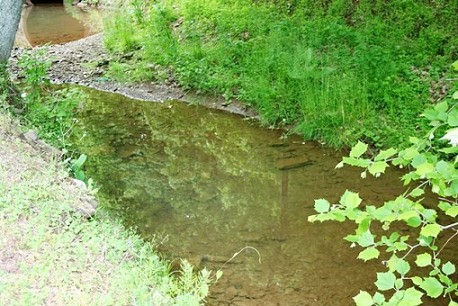 bridgeless creek
