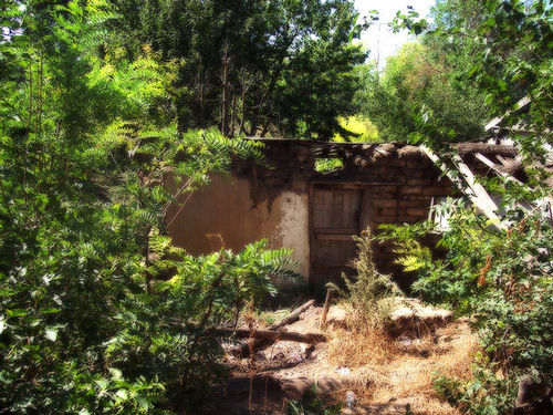 Mae's house